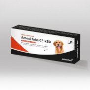 AMOXI-TABS C-250 X 10 TAB