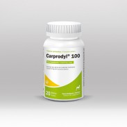 Carprodyl® 100 x 20 tabletas