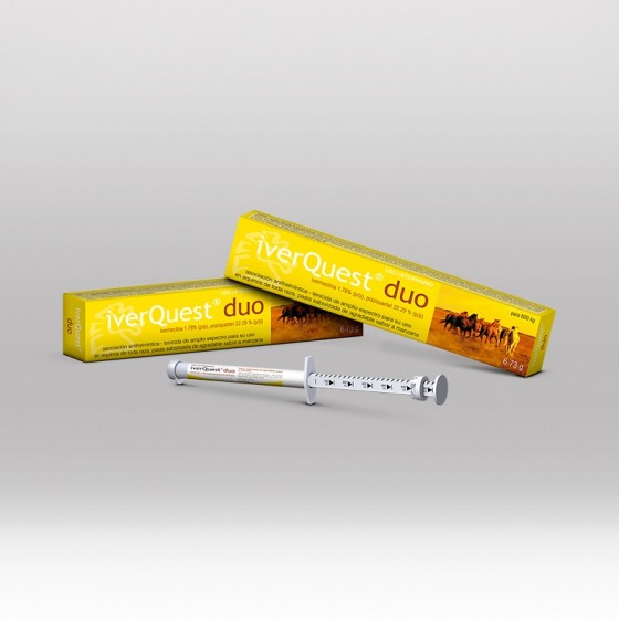 IVERQUEST DUO X 6.73 G