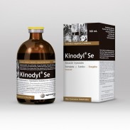 KINODYL SE X 100 ML