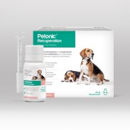 PETONIC RECUPERATION X 110 ML