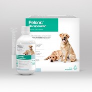PETONIC RECUPERATION X 275 ML
