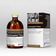 AMINOPLEX FORTE X 250 ML