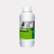 Aminoplex® Forte OS x 1...