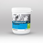 PROBIOENZYME PX POTE X 1 KG