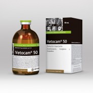 VETOCAM 50 X 50 ML