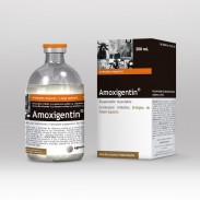 AMOXIGENTIN X 250 ML
